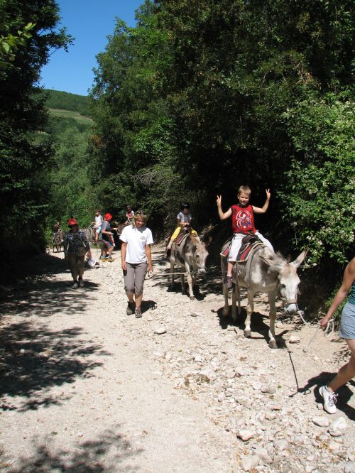 asinelli-37.JPG